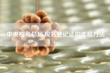 中央税务总局,税务登记证的年检方法