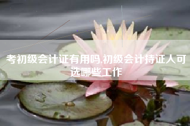 考初级会计证有用吗,初级会计持证人可选哪些工作