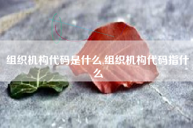 组织机构代码是什么,组织机构代码指什么