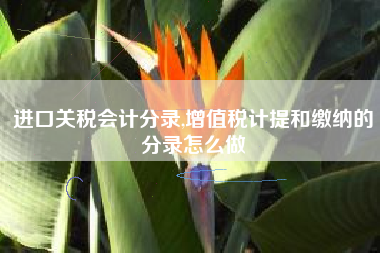 进口关税会计分录,增值税计提和缴纳的分录怎么做