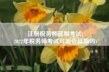 注册税务师延期考试(
2022年税务师考试可能会延期吗)