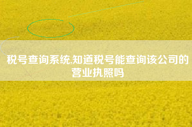 税号查询系统,知道税号能查询该公司的营业执照吗