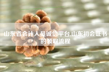 山东省会计人员诚信平台,山东初会证书的领取流程