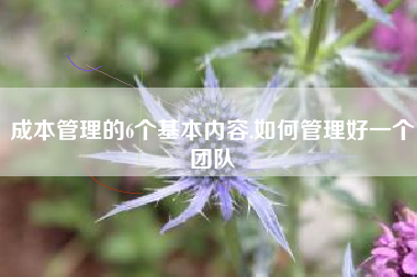 成本管理的6个基本内容,如何管理好一个团队