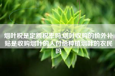 烟叶税是定额税率吗,烟叶收购的价外补贴是收购烟叶的人付给种植烟叶的农民吗