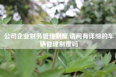 公司企业财务管理制度,请问有详细的车辆管理制度吗