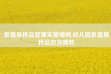 低值易耗品管理实施细则,幼儿园低值易耗品包含哪些