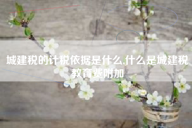 城建税的计税依据是什么,什么是城建税教育费附加