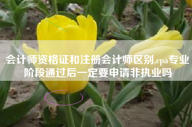 会计师资格证和注册会计师区别,cpa专业阶段通过后一定要申请非执业吗