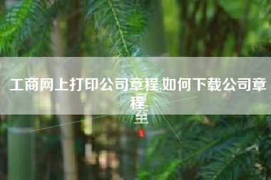 工商网上打印公司章程,如何下载公司章程