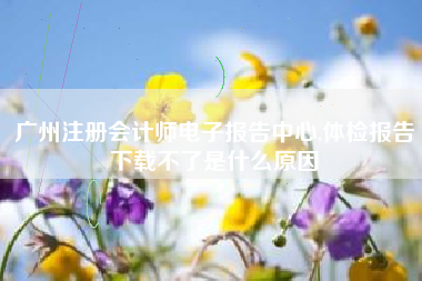 广州注册会计师电子报告中心,体检报告下载不了是什么原因
