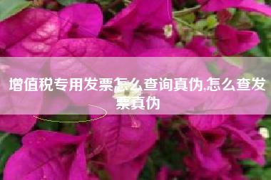 增值税专用发票怎么查询真伪,怎么查发票真伪