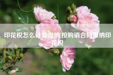 印花税怎么计算缴纳,按购销合同缴纳印花税