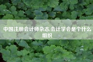 中国注册会计师杂志,会计学会是个什么组织