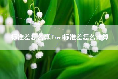 标准差怎么算,Excel标准差怎么计算