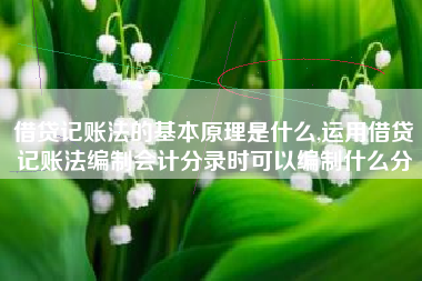 借贷记账法的基本原理是什么,运用借贷记账法编制会计分录时可以编制什么分