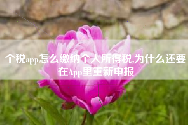 个税app怎么缴纳个人所得税,为什么还要在App里重新申报