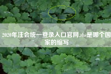 2020年注会统一登录入口官网,zhs是哪个国家的缩写