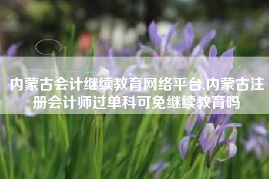 内蒙古会计继续教育网络平台,内蒙古注册会计师过单科可免继续教育吗