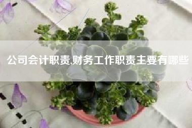 公司会计职责,财务工作职责主要有哪些