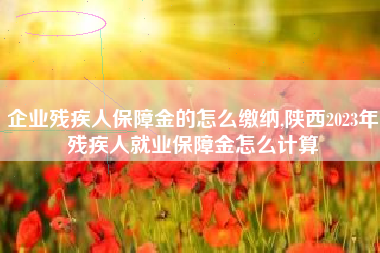 企业残疾人保障金的怎么缴纳,陕西2023年残疾人就业保障金怎么计算