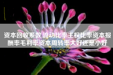 资本回收系数,流动比率主权比率资本报酬率毛利率资本周转率大好还是小好