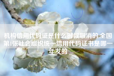 机构信用代码证是什么时候取消的,全国第1张社会组织统一信用代码证书是哪一年发的