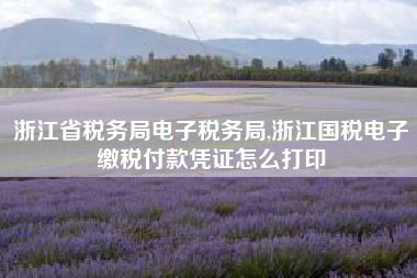 浙江省税务局电子税务局,浙江国税电子缴税付款凭证怎么打印