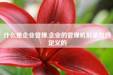 什么是企业管理,企业的管理机制是如何定义的