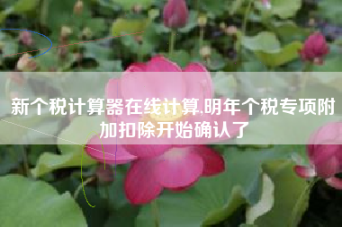 新个税计算器在线计算,明年个税专项附加扣除开始确认了