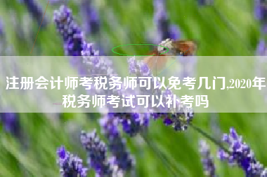 注册会计师考税务师可以免考几门,2020年税务师考试可以补考吗