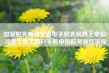 国家税务局河北省电子税务局网上申报(河北个体工商户手机申报税务操作流程
)