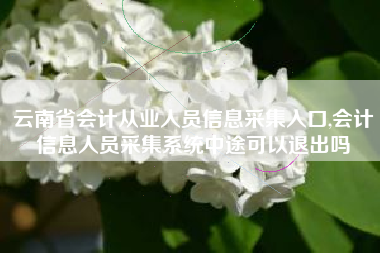 云南省会计从业人员信息采集入口,会计信息人员采集系统中途可以退出吗