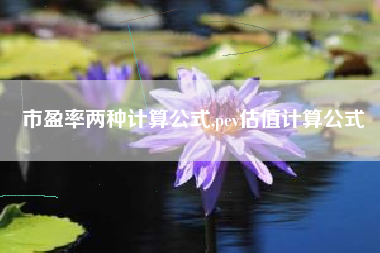 市盈率两种计算公式,pev估值计算公式