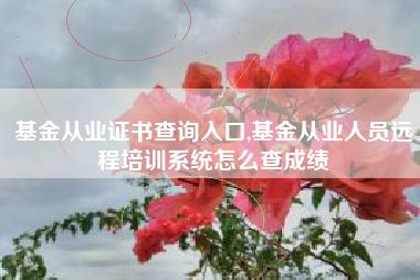 基金从业证书查询入口,基金从业人员远程培训系统怎么查成绩