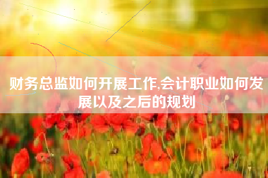 财务总监如何开展工作,会计职业如何发展以及之后的规划