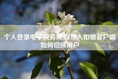 个人登录电子税务局,自然人扣缴客户端如何切换用户