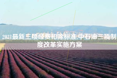 2021最新三项经费扣除标准,中石油三项制度改革实施方案