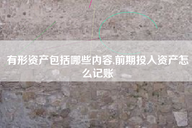 有形资产包括哪些内容,前期投入资产怎么记账