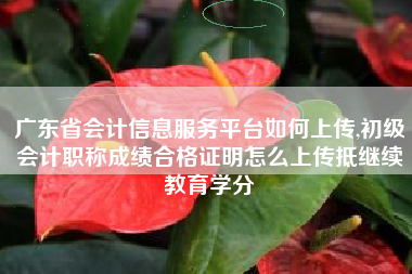 广东省会计信息服务平台如何上传,初级会计职称成绩合格证明怎么上传抵继续教育学分