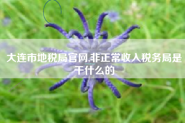大连市地税局官网,非正常收入税务局是干什么的
