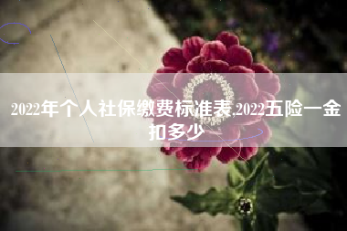 2022年个人社保缴费标准表,2022五险一金扣多少