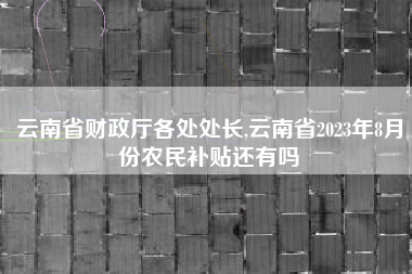 云南省财政厅各处处长,云南省2023年8月份农民补贴还有吗