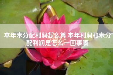 本年未分配利润怎么算,本年利润和未分配利润是怎么一回事啊