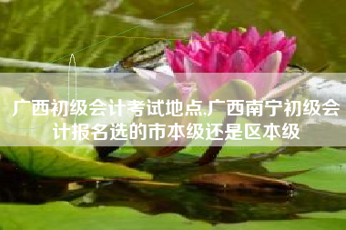 广西初级会计考试地点,广西南宁初级会计报名选的市本级还是区本级