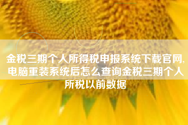 金税三期个人所得税申报系统下载官网,电脑重装系统后怎么查询金税三期个人所税以前数据