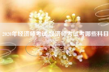 2020年经济师考试,经济师考试考哪些科目