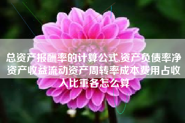总资产报酬率的计算公式,资产负债率净资产收益流动资产周转率成本费用占收入比重各怎么算