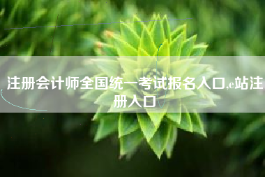 注册会计师全国统一考试报名入口,e站注册入口