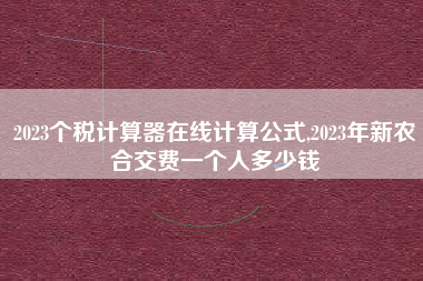 2023个税计算器在线计算公式,2023年新农合交费一个人多少钱